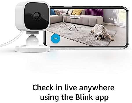 Blink Mini