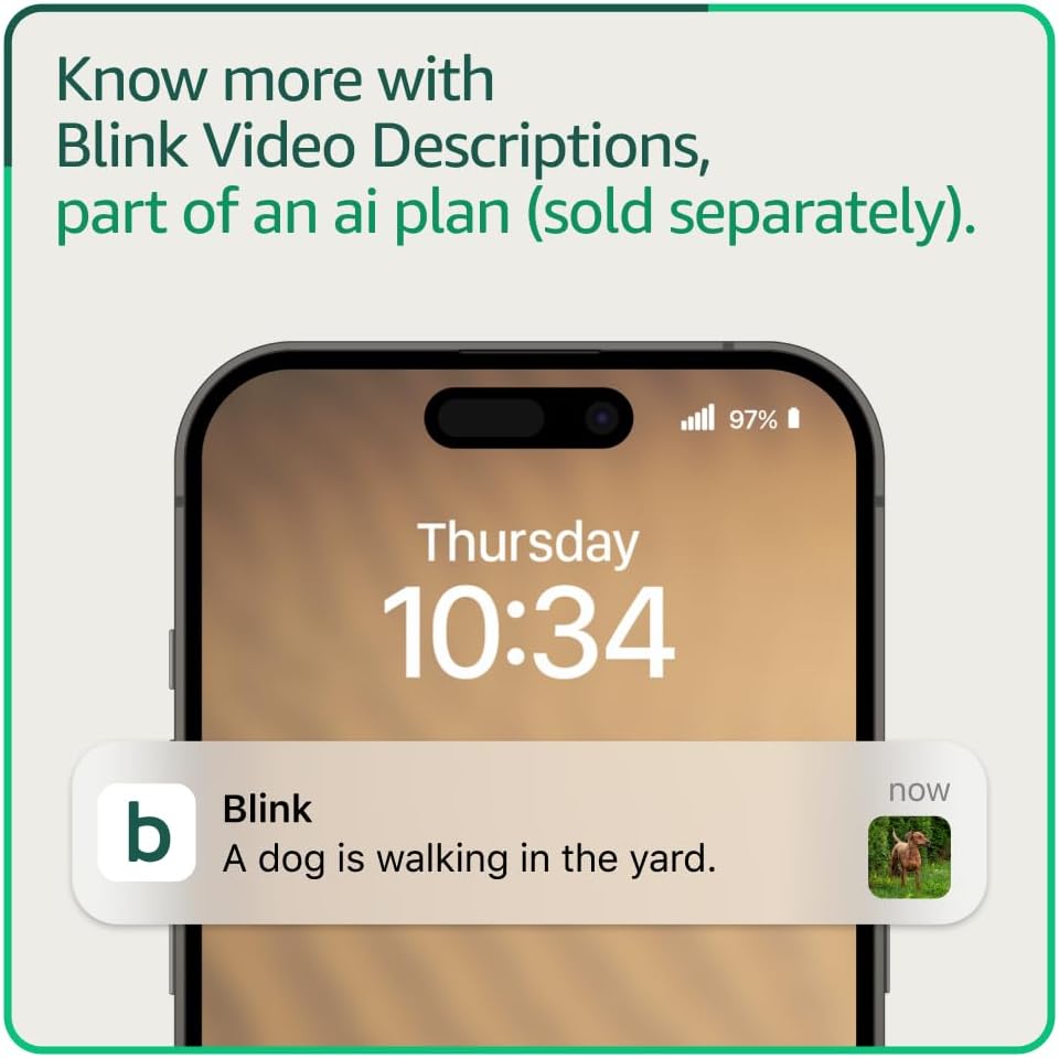 Blink Mini